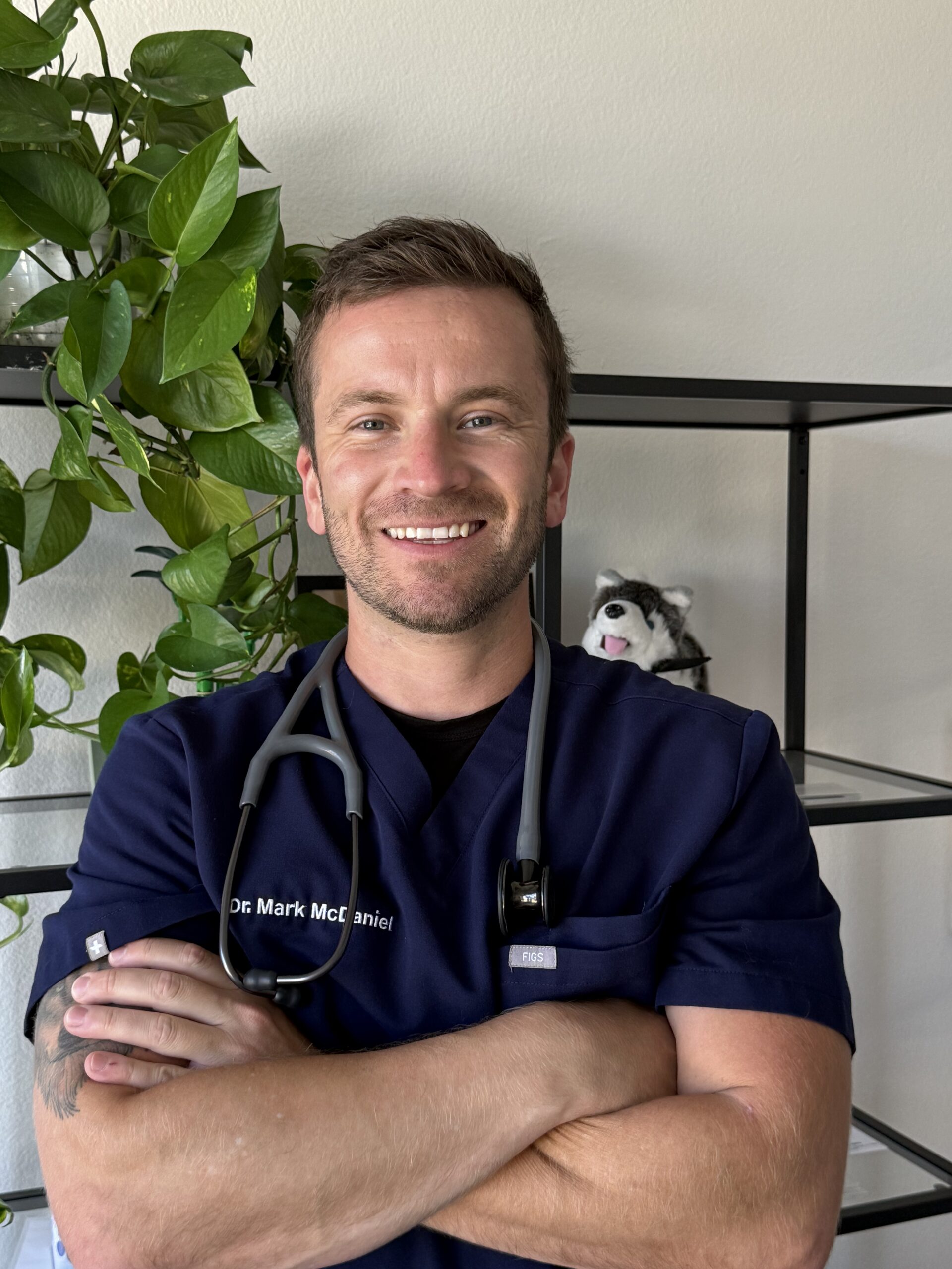 Dr Mark